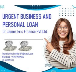 Business loans without delay through online