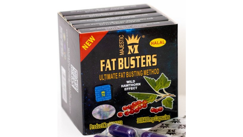 fat-bastrz-lltkhsys-fat-busters-big-0