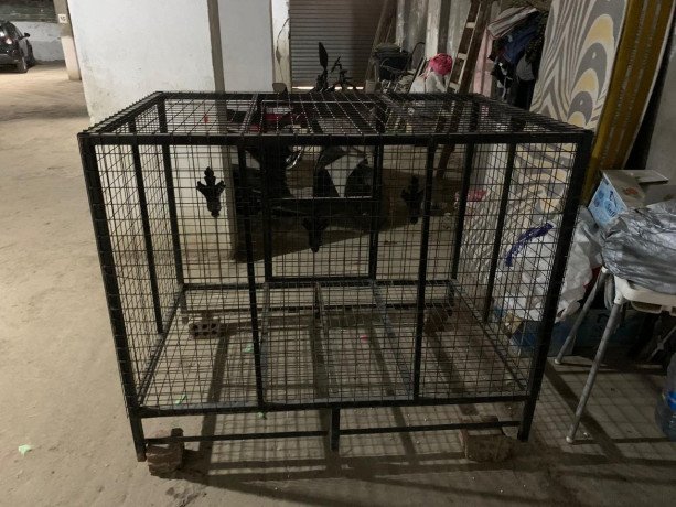 metal-dog-cage-for-sale-big-1