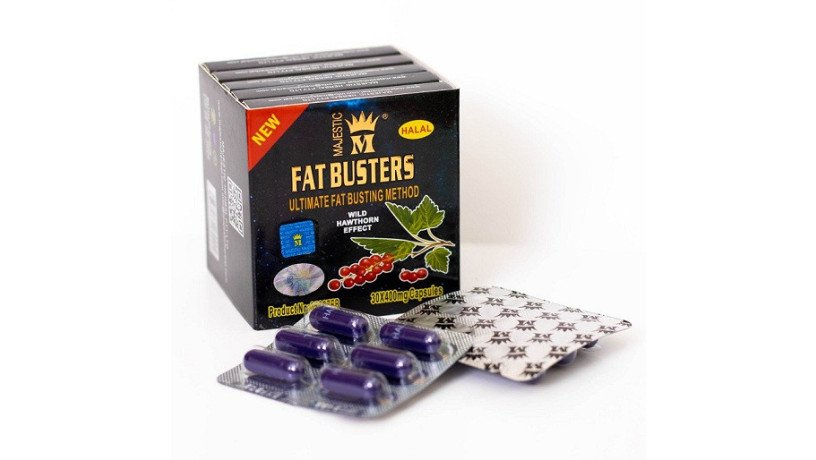 fat-bastrz-lltkhsys-fat-busters-big-0