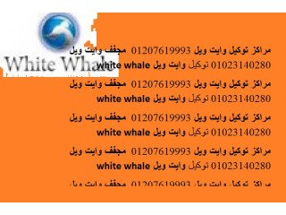 صيانة اعطال وايت ويل في القاهرة 01023140280